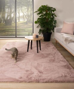 erhältlich Farben Rosa Moderne | Teppich kaufen online
