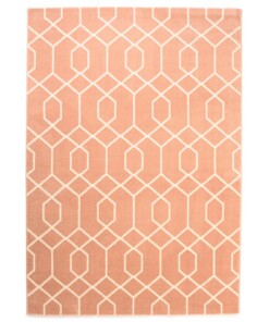 Teppich Geometrische Muster - Aria Hellrosa - overzicht