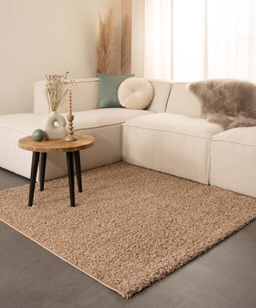 Hochflor Teppich Quadratisch Shaggy Trend - Beige - sfeer