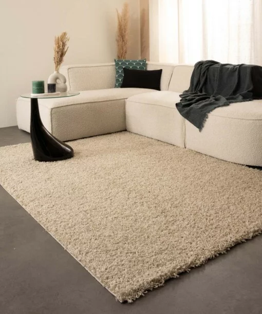 Hochflor Teppich Shaggy Trend - Champagner - sfeer