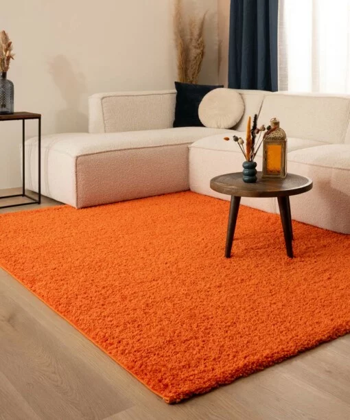 Hochflor Teppich Shaggy Trend - Orange - sfeer