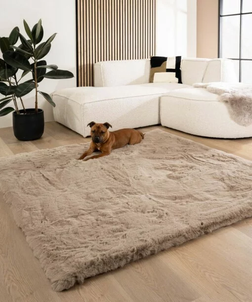 Teppich Quadratisch Flauschig Hochflor - Comfy Deluxe Taupe