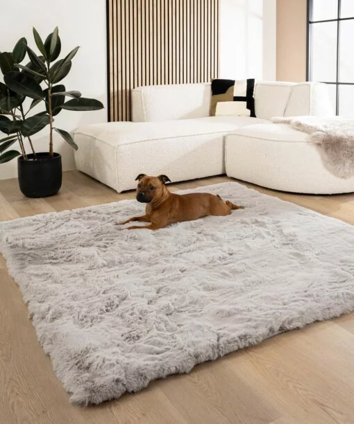 Teppich Quadratisch Flauschig Hochflor - Comfy Deluxe Hellgrau