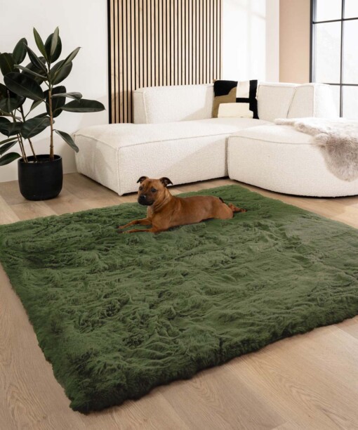 Teppich Quadratisch Flauschig Hochflor - Comfy Deluxe Olivgrün